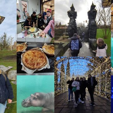 Pairi Daiza sortie détente 2023